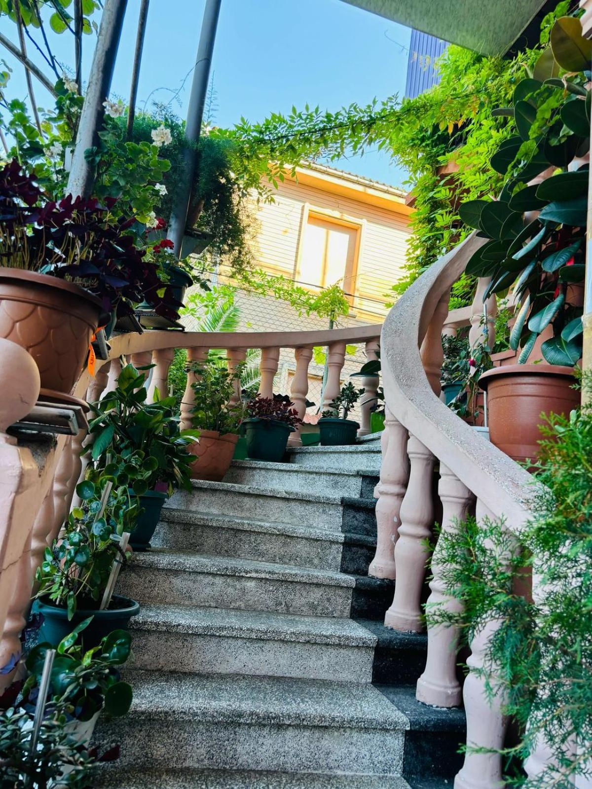 Отель Nana'S House Батуми Экстерьер фото
